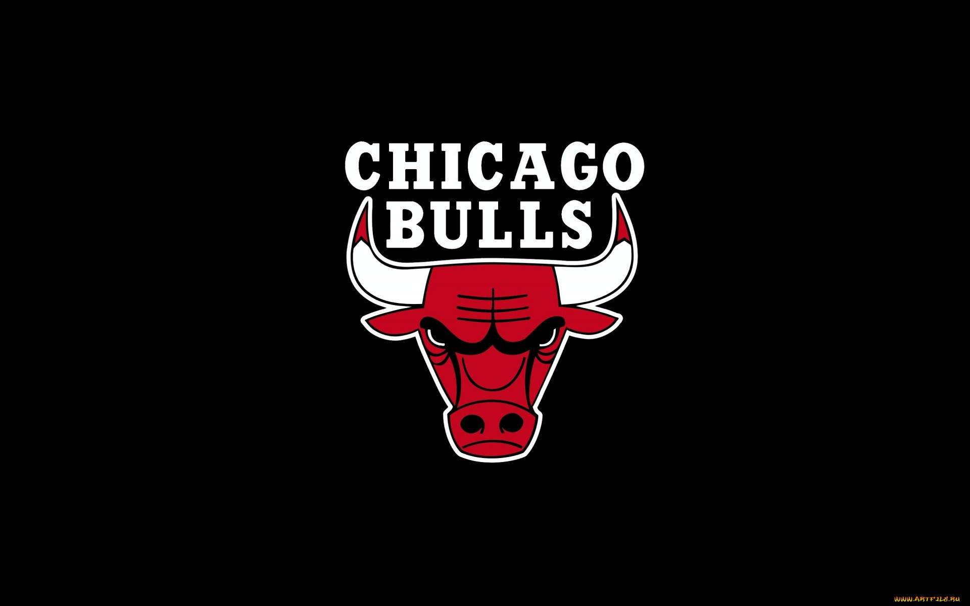 спорт, эмблемы клубов, рога, фон, бык, chicago, bulls.